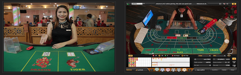 dragon tiger live casino